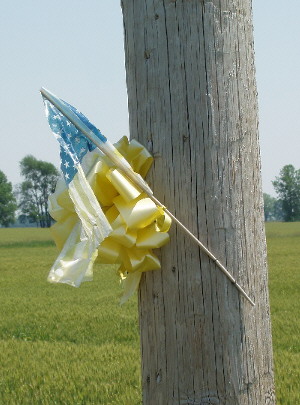 tribsm01.jpg